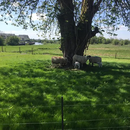 Гостевой дом Leitrim Carrick-on-Shannon